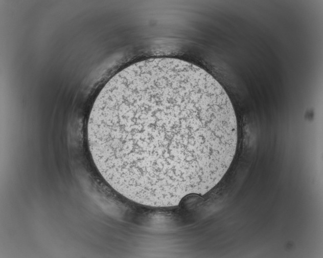 X0000115540308200912181535