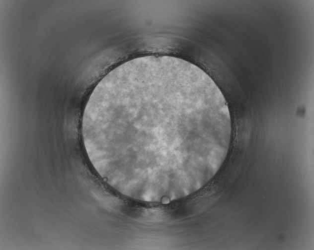 X0000115540309200912181535