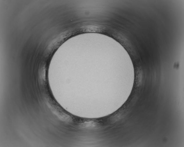 X0000115540310200912181535