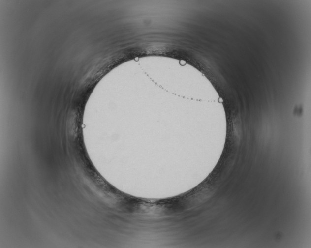 X0000115540311200912181535