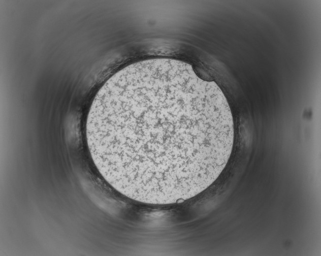 X0000115540312200912181535