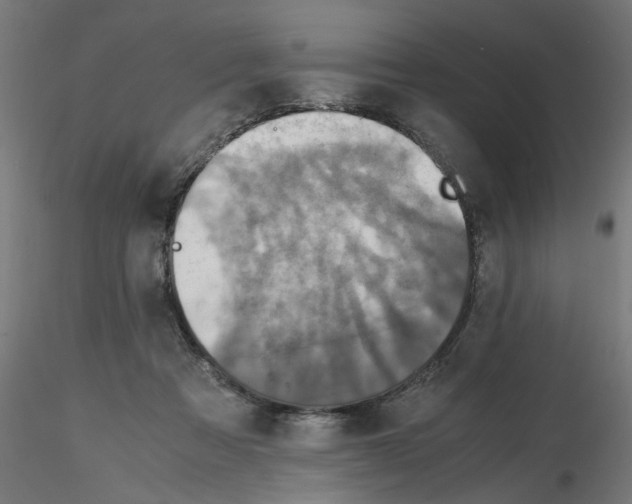 X0000115540313200912181535