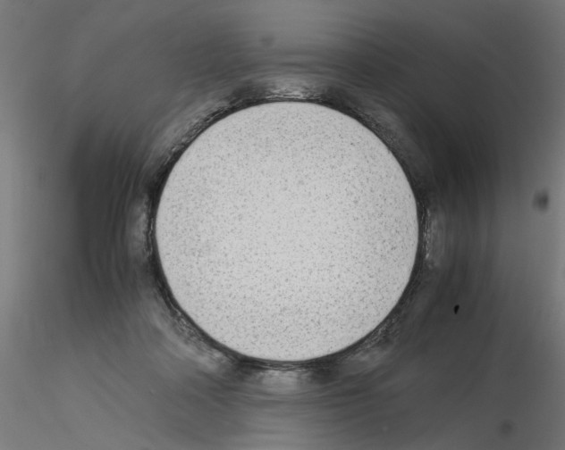 X0000115540314200912181535