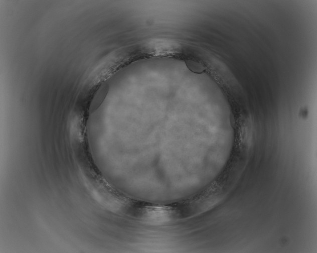 X0000115540316200912181535
