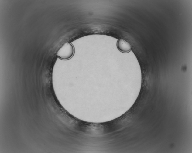 X0000115540317200912181535