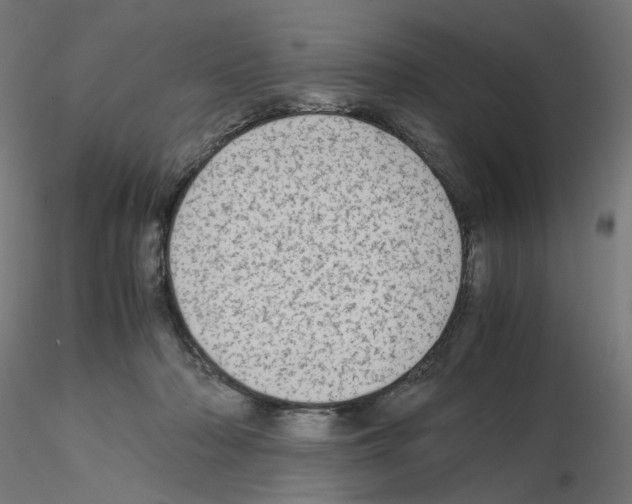 X0000115540318200912181535