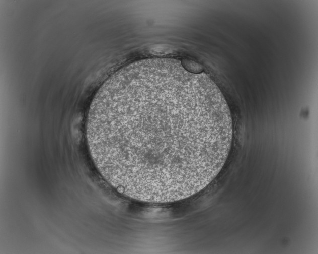 X0000115540319200912181535