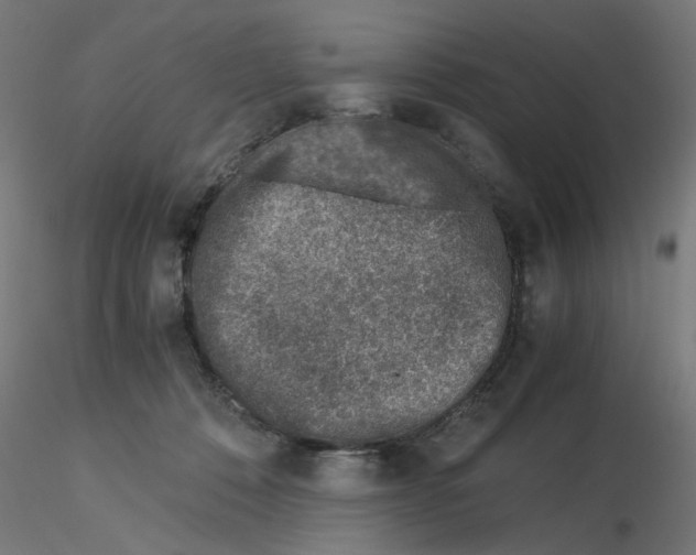 X0000115540320200912181535