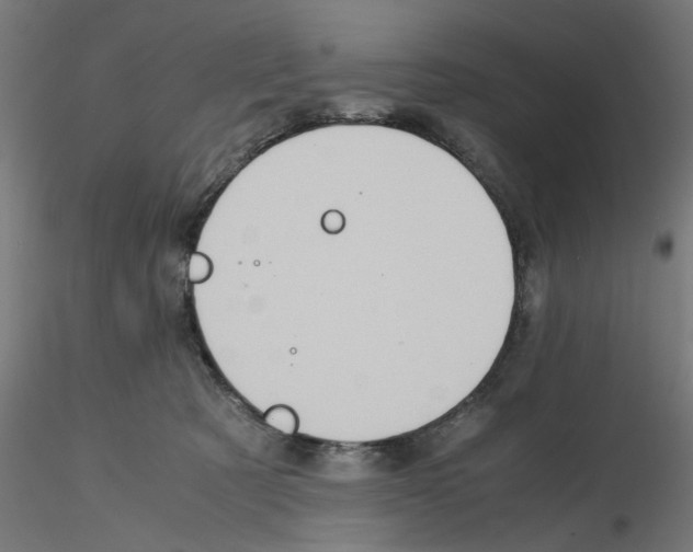 X0000115540321200912181535