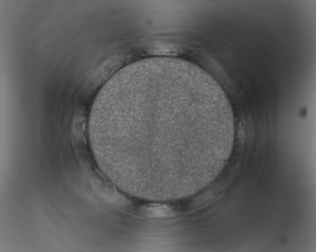 X0000115540322200912181535