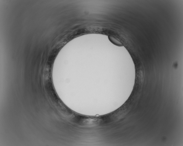 X0000115540323200912181535