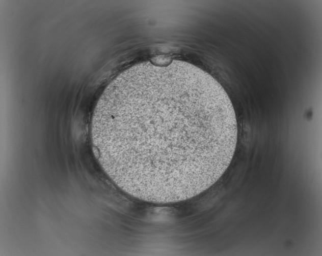 X0000115540324200912181535