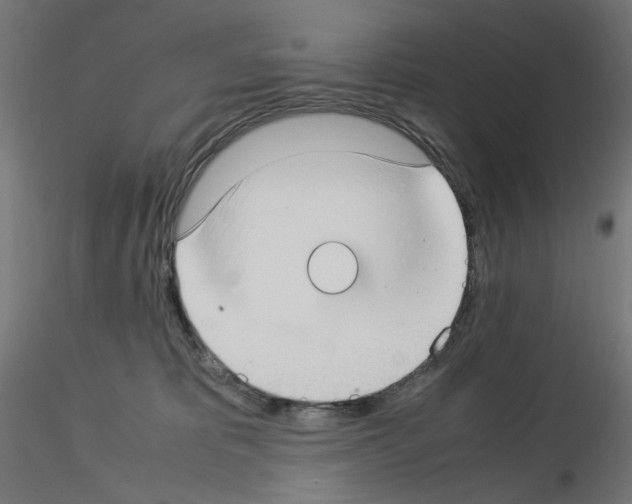 X0000115540325200912181535