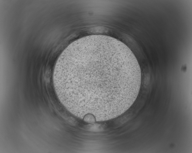 X0000115540326200912181535