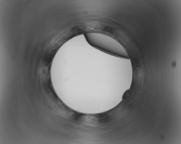 X0000115540327200912181535