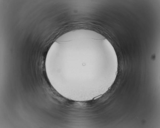 X0000115540328200912181535