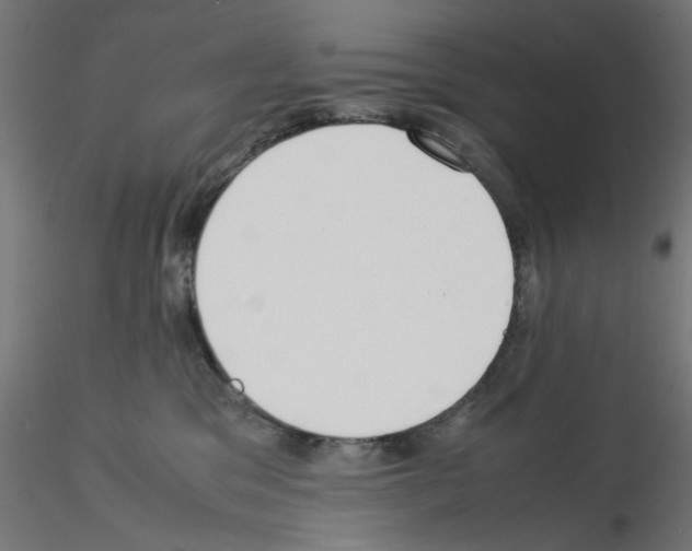 X0000115540329200912181535