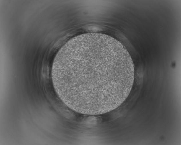 X0000115540330200912181535