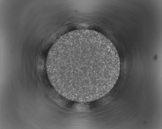 X0000115540331200912181535