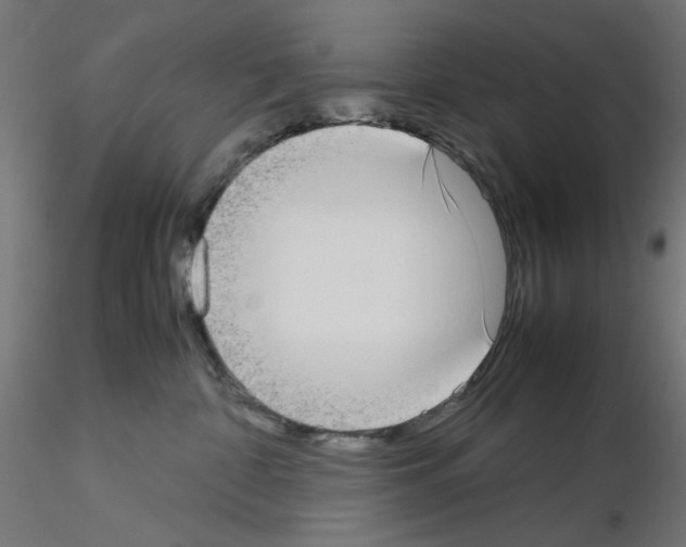 X0000115540332200912181535