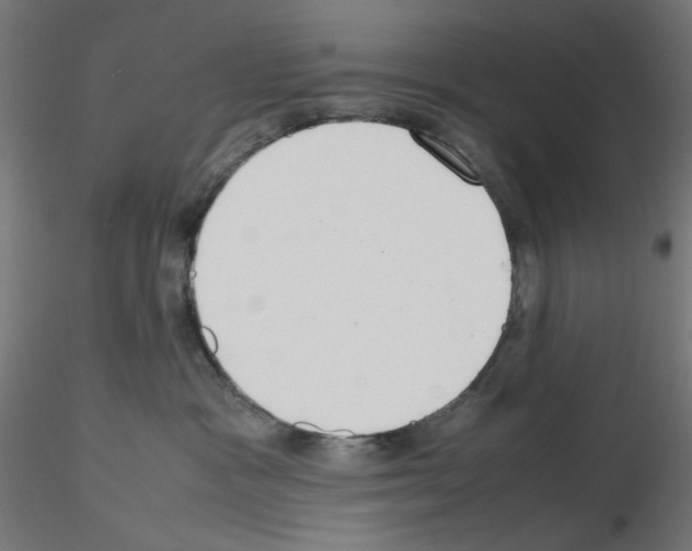 X0000115540333200912181535