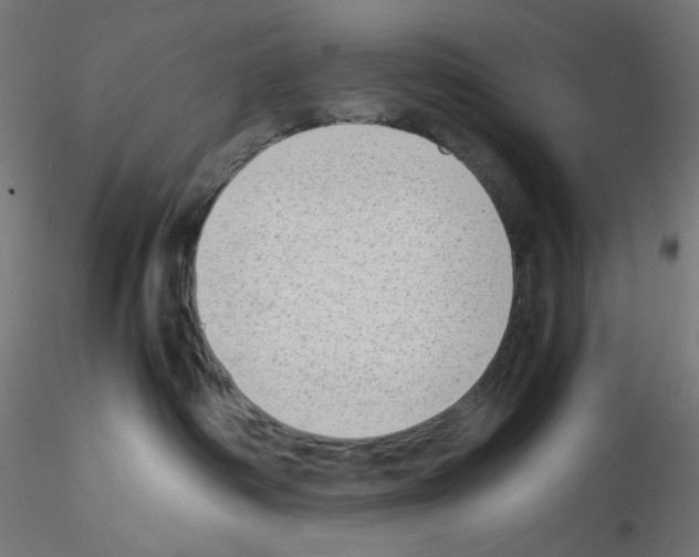 X0000115540334200912181535