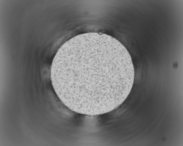 X0000115540335200912181535