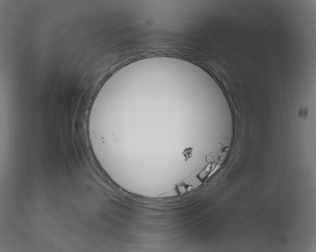 X0000115540336200912181535