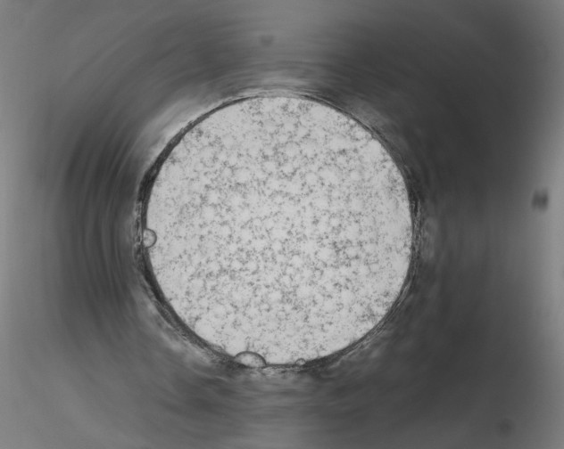 X0000115540338200912181534