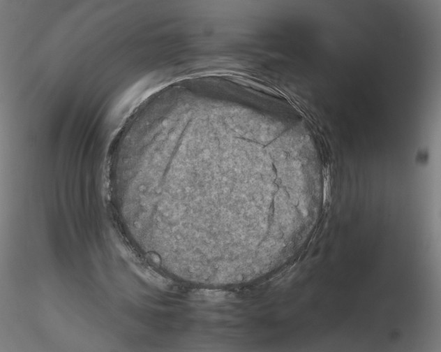X0000115540339200912181534