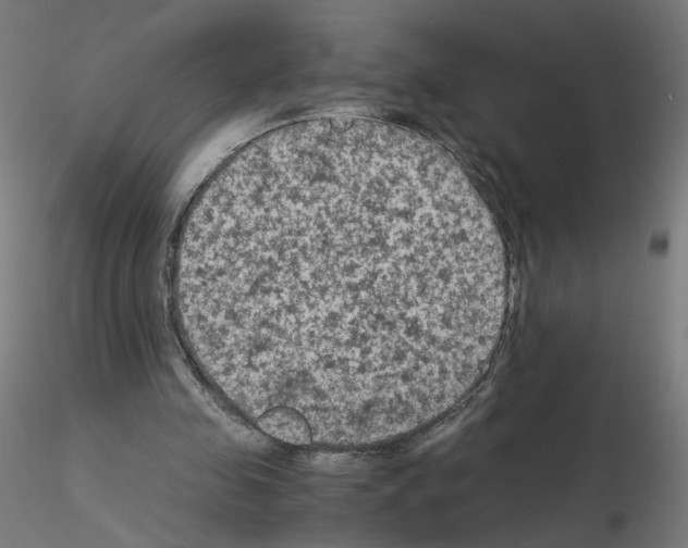 X0000115540341200912181534