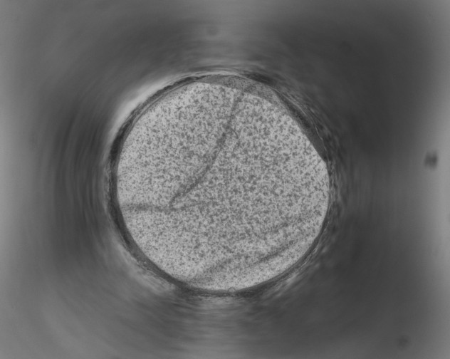 X0000115540342200912181534