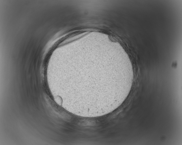 X0000115540343200912181534