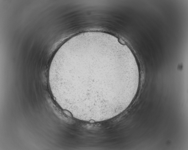 X0000115540345200912181534