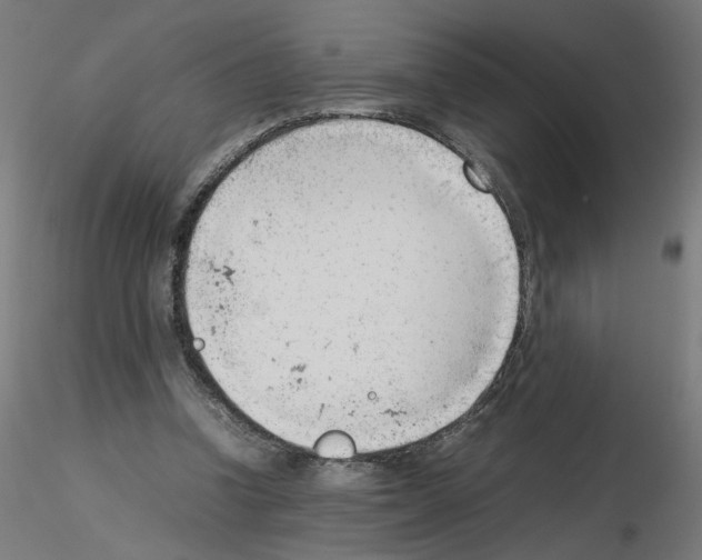 X0000115540346200912181534
