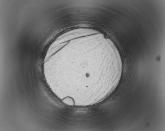 X0000115540347200912181534