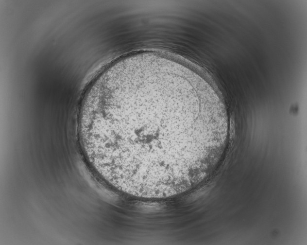 X0000115540349200912181534