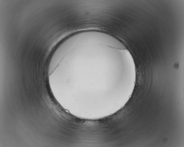 X0000115540350200912181534