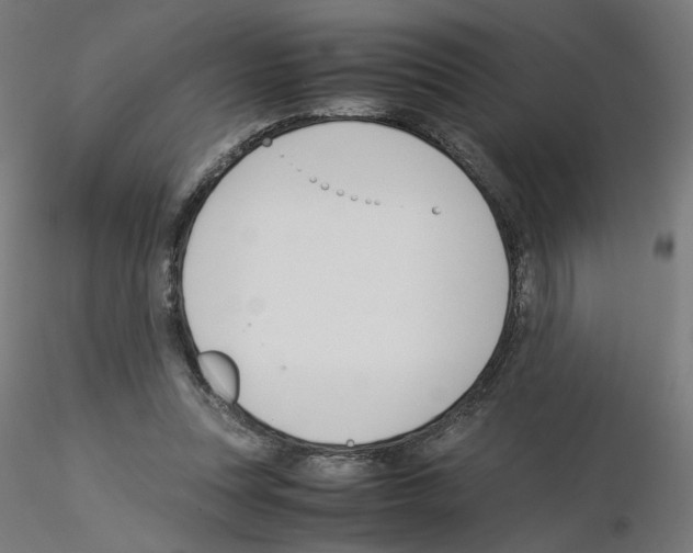 X0000115540351200912181534