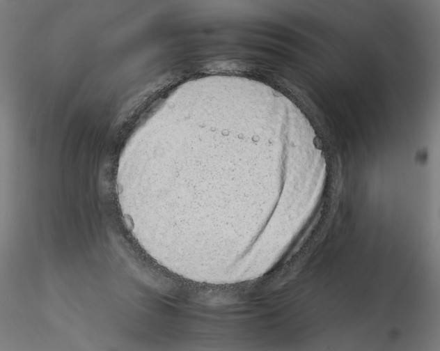 X0000115540353200912181534