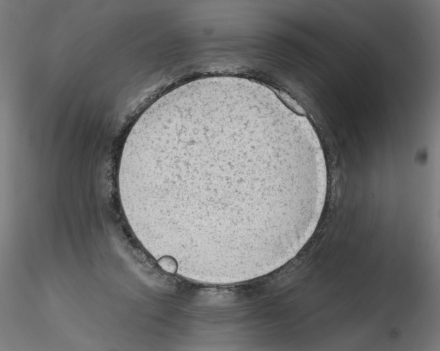 X0000115540354200912181534