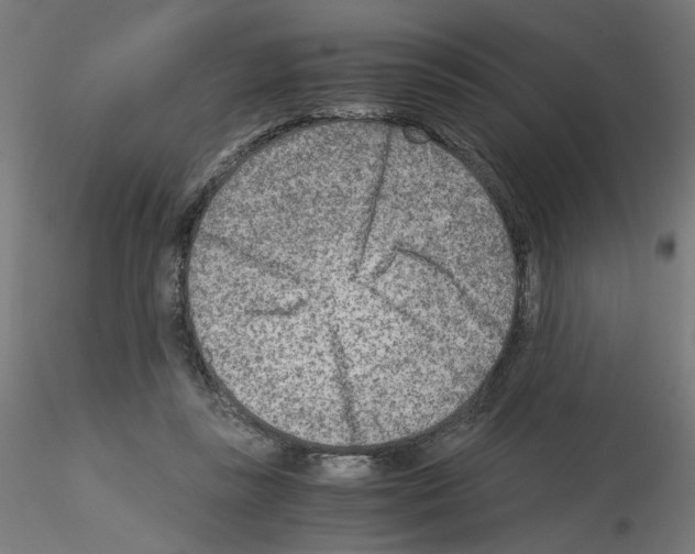 X0000115540355200912181534