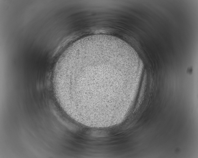 X0000115540357200912181534