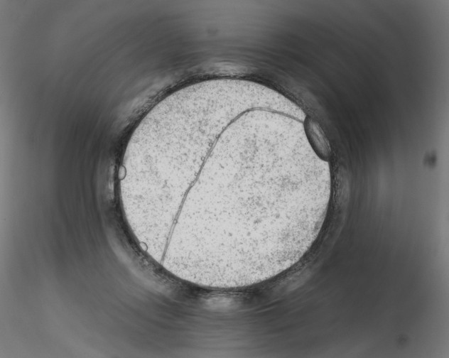 X0000115540358200912181534