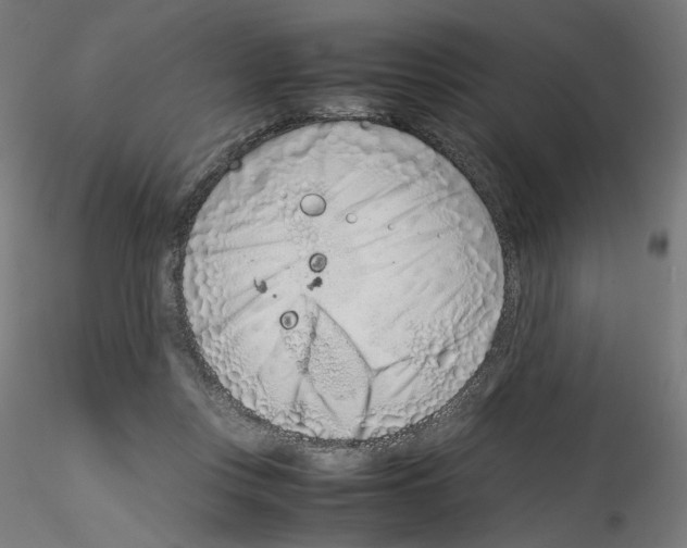X0000115540359200912181534