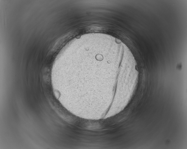 X0000115540361200912181534