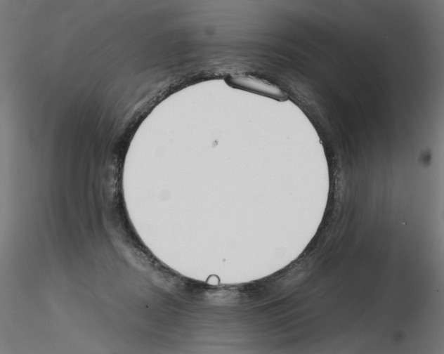 X0000115540362200912181534
