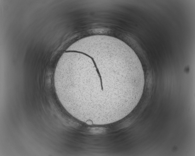 X0000115540363200912181534