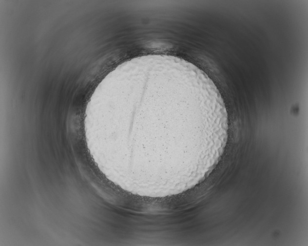 X0000115540365200912181534