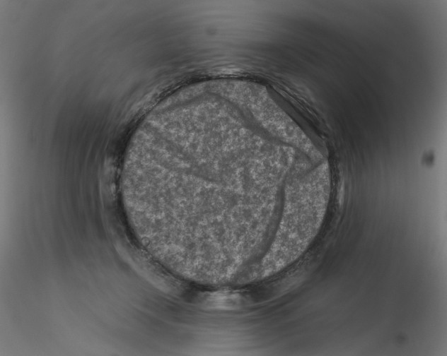 X0000115540366200912181534